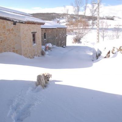Nevada 2011