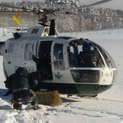 Guardia En Navamuel 2015